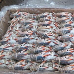 Crabs