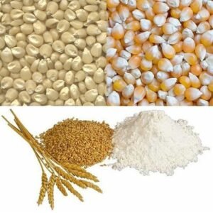 Corn