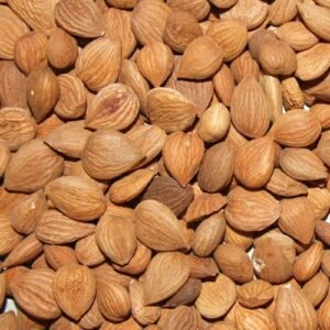 Apricot Kernels