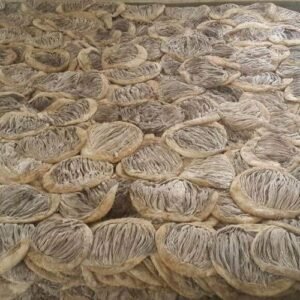 Beef Omasum