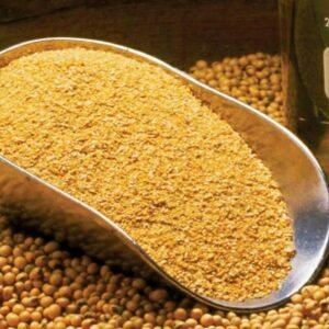 Soya Beans Meal
