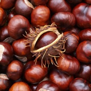 Chest Nuts